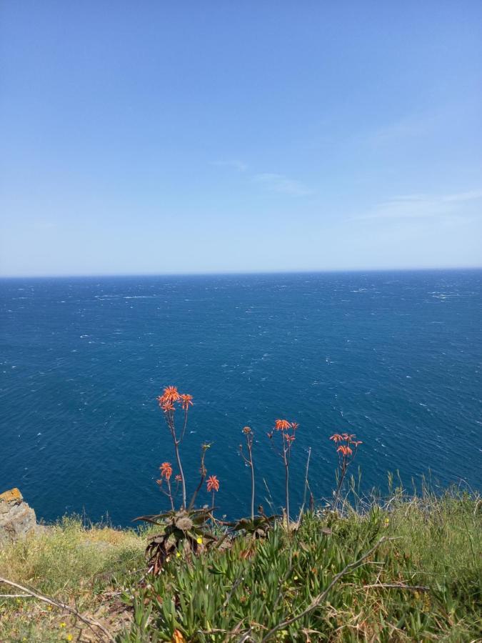 La Pantoufle Verte Montauriol  Bagian luar foto